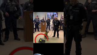 USA 🇺🇸 police 👮 dog 🐶 ka retire kaise karete ha shorts youtubeshorts gk police [upl. by Oicirtap]