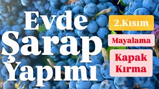 Evde İleri Seviye Şarap Yapımı 2kısım Mayalama ve Kapak Kırma How to Make Premium Red Wine at Home [upl. by Llertniuq]