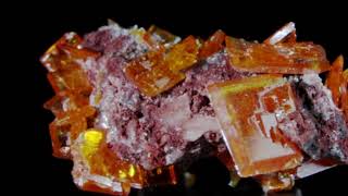 Wulfenite Rowley Mine Maricopa County Arizona USA Studio Mineralia Macro Mineral Fly By [upl. by Amalle]