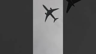 Air Europa Boeing 7879 Dreamliner ECNGN Approaching to Miami from MadridBarajas as UX97 shorts [upl. by Nanek]