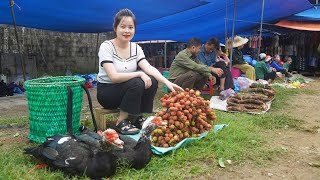 THANH Harvesting Lychees HIEN bring lychee goes to market sell Buy fruit tree seeds [upl. by Ayaladnot]