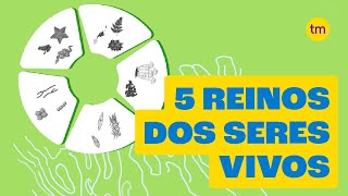 Conheça os 5 Reinos dos seres vivos [upl. by Faber762]