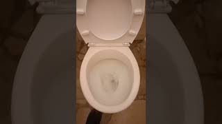 6 Cersanit President Toilet [upl. by Hayikaz]