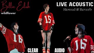 Wildflower  Billie Eilish LIVE ACOUSTIC VERSION slowed  reverb  clear audio [upl. by Arrik]