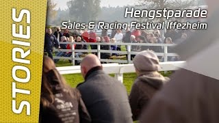 Hengstparade in Iffezheim [upl. by Etnuad591]