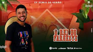 Sadomasoquista  Ep Remix De Verão  Feat Deize Tigrona  Arrochadeira Remix [upl. by Notnarb131]