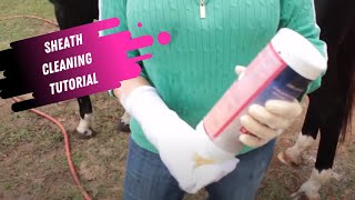 Sheath Cleaning Tutorial for Horses [upl. by Nally]