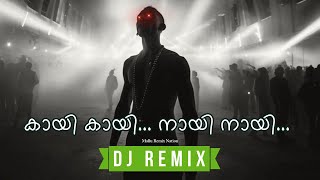 Kaayi Naayi  Baby Jean DJ Amal X Remix • Malayalam Remix 2024 [upl. by Resay]