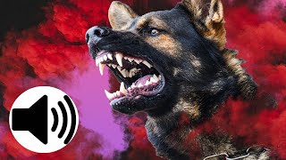 ANGRY Dogs Barking Sound Effect [upl. by Anniroc]