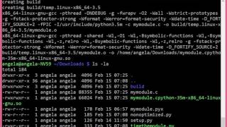 Cython vs Pure Python [upl. by Tonl]