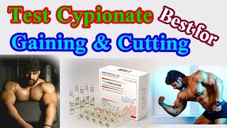 Test Cypionate for lean gaining  benefits amp Side effects amp cycle dose  full explain in one video [upl. by Kessler]