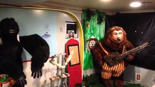 The rock afire explosion from funstation [upl. by Nosreg]