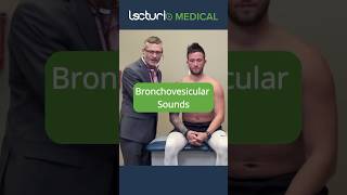 Discover Bronchovesicular Breath Sounds 🫁 doctor usmle [upl. by Ulland]