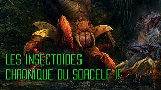 Les Insectoïdes  Chronique du Sorceleur [upl. by Adnamahs994]