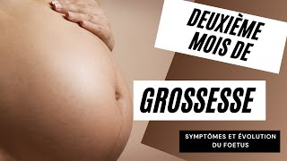 SYMPTÔMES ET ÉVOLUTION DU FOETUS  Le deuxième mois de grossesse  Grossesse mois par mois  Belosa [upl. by Yelyk]