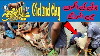 Bhai Ki Ankho Me Anso Aa Gae Eid Ul Adha 2nd Day  Bhai Ka Chatra Or Bachra Kiya Zibah [upl. by Kalvin40]