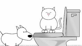 Toilet Training a Farty Cat [upl. by Fernande]