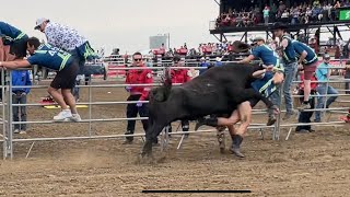 Man and Woman Trampled  Running with the Bulls 2024 Strathmore Alberta  Major Injury [upl. by Domini]