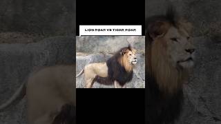 Tiger Roar vs Lion Roar  Which is LOUDERPart One [upl. by Wadlinger]