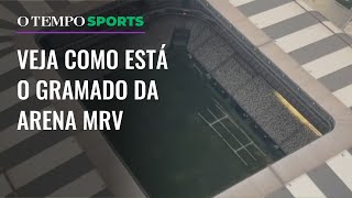 EXCLUSIVO veja imagens do gramado da Arena MRV antes de Galo e São Paulo [upl. by Revorg]