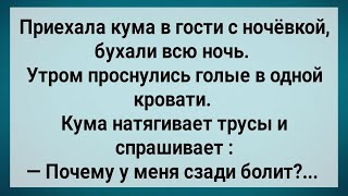 Как Кума в Гостях Без Трусов Проснулась Сборник Свежих Анекдотов Юмор [upl. by Soren]