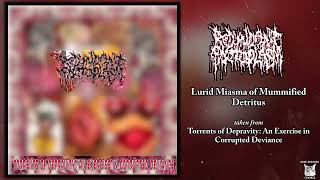 Redundant Protoplasm  Lurid Miasma of Mummified Detritus SINGLE 2024  Goregrind [upl. by Jazmin]