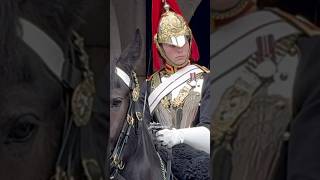 King’s Guards Kind Gesture to a Young Tourist [upl. by Suilenrac]