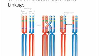 NonMendelian genetics [upl. by Berns341]