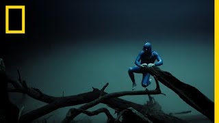 Experience the Underwater World Through the Eyes of a Free Diver  Short Film Showcase [upl. by Salangi]