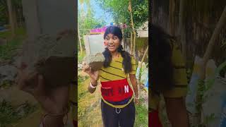 আমার দাদা মরে গেছে লাইক করো 🤣🤣viralfunnyshortstrendingyoutubermitamondal [upl. by Bathsheba337]