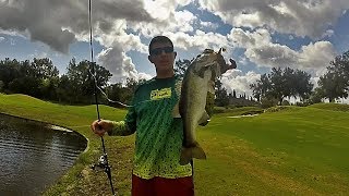 Bass Fishing After HURRICANE IRMA  How is the fishing posthurricane [upl. by Leunam]