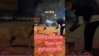 दिवाली में जानवरो पर GYAN BANTNE वालों के लिए diwali festival trending shorts [upl. by Eityak]