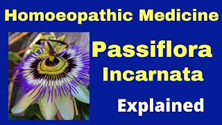 Passiflora Incarnata Homoeopathic Medicine Uses Homoeopathic SedativeInsomnia  Lack of SleepBHMS [upl. by Arbas]