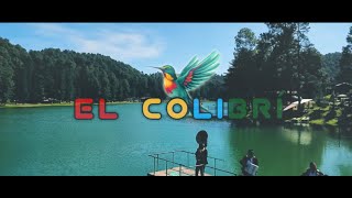 El Colibrí  Grupo La Llegada Videoclip Oficial [upl. by Heer170]