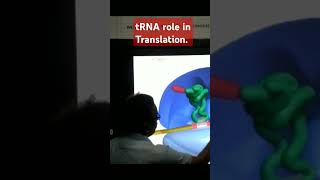 tRNA role in Protein Synthesis forXXIXIINEETampCUET [upl. by Jauch]