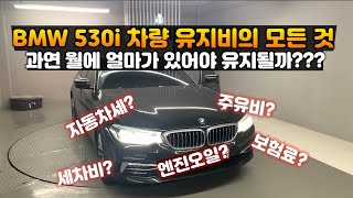 외제차 유지비 I BMW 530i 유지비의 모든 것 I 월에 얼마나 있어야 유지가 될까 자동차세 주유비 보험료 연비 할부 등에 대한 모든 내용 [upl. by Kcirdaed]