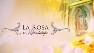 Cachetadas parte 2 de la rosa de Guadalupe [upl. by Nugesulo]