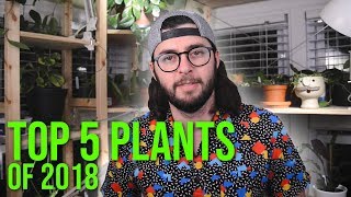 My Top 5 Plants of 2018 [upl. by Masao412]