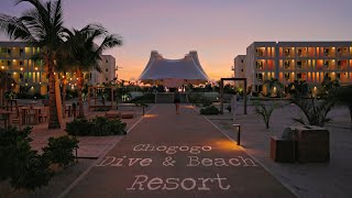 Chogogo Dive amp Beach Resort Bonaire [upl. by Marabelle203]