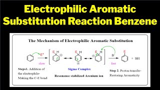 Electrophilic Aromatic Substitution Reaction of Benzene Mechanism Benzenes Electrophilic Dance [upl. by Sanford]