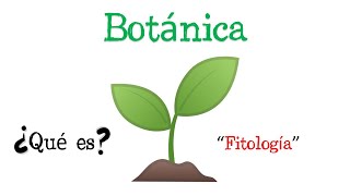 🌿¿Qué es la Botánica🌿 Fácil y Rápido  BIOLOGÍA [upl. by Ettenyar]