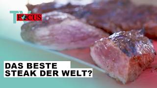 Wer grillt das beste Steak der Welt Die GrillWM in Stuttgart  Focus TV Reportage [upl. by Ecertak]