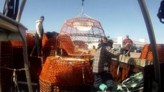 Deadliest Catch Canadian version Shippagan NB [upl. by Vassily]