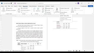 Otomatik Şekiller Dizini Tablolar Dizini vb Ekleme [upl. by Christine]