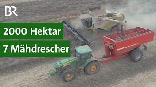 Landwirtschaft in Russland Ernte mit sieben Mähdreschern  Landtechnikvideos [upl. by Nitreb501]