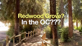 Redwood Grove Hike Guide Carbon Canyon – Brea [upl. by Akinam]