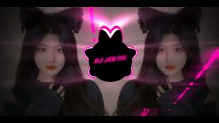 DJ OLD AKIMILAKU  New TIKTOK VIRAL PARTY 2K24  FULLBASSSLOWED REMIX   DJ JER PH 2K24 [upl. by Belter]