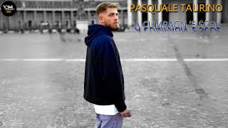 Pasquale Taurino  A cumpagn e scol [upl. by Akalam]