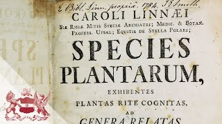 Linnean Lens Carl Linnaeus Species Plantarum and Naming Nature [upl. by Lytton537]