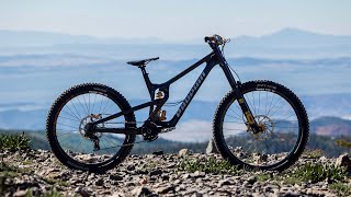 The most dreamy bike I have ever built Propain Rage Downhill Bike [upl. by Aray]